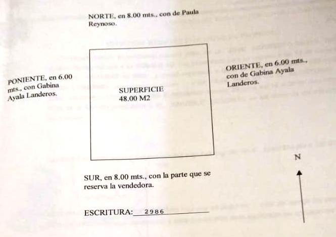 Imagen 19