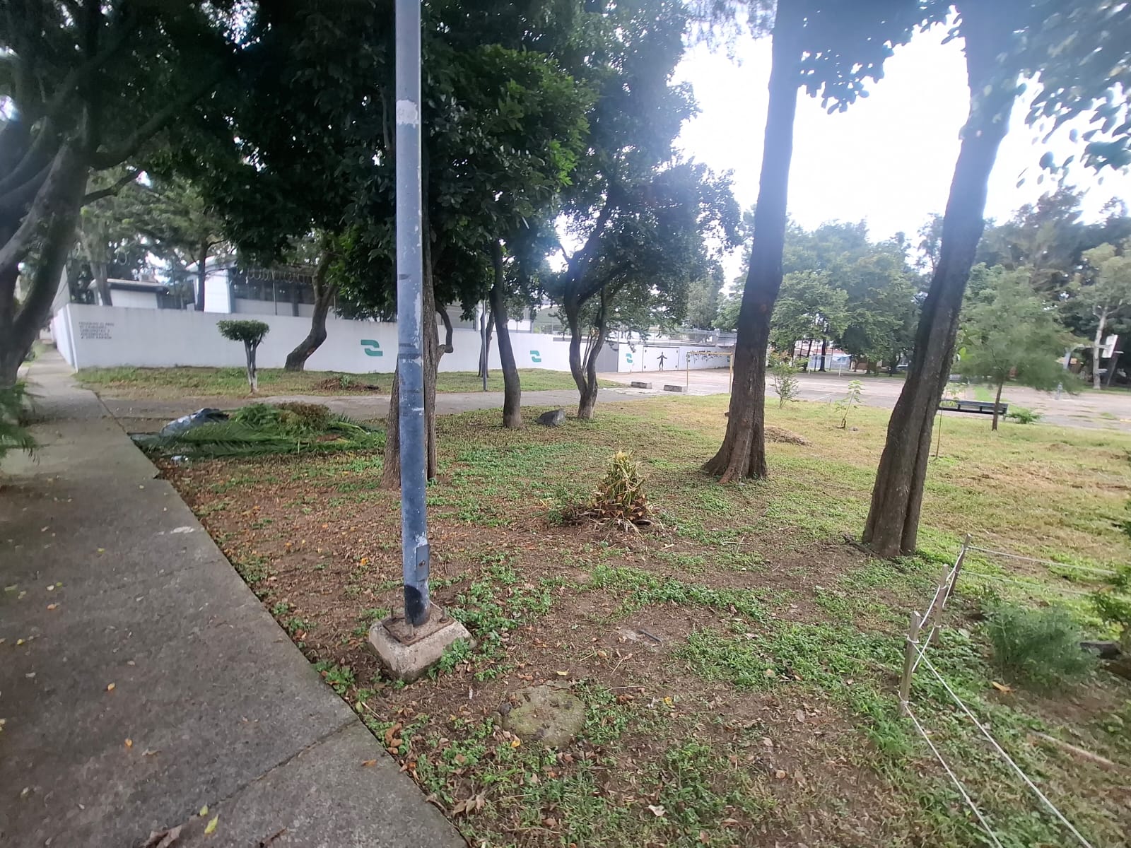 Imagen 3