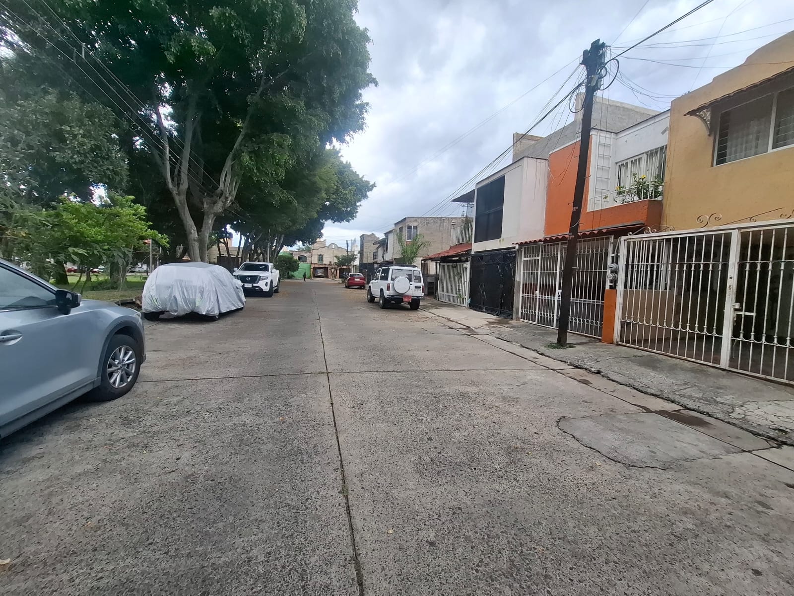 Imagen 7