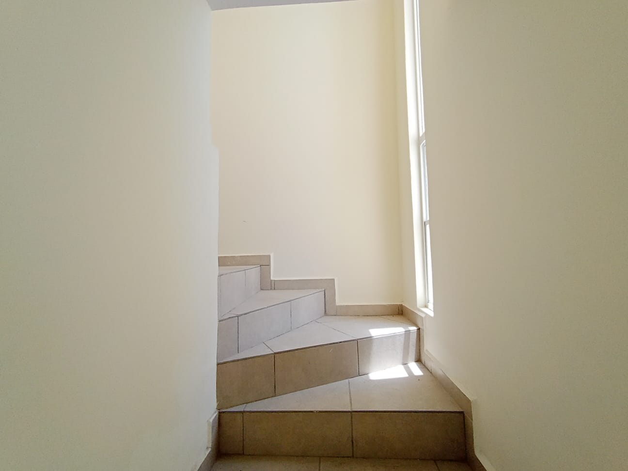 Imagen 7