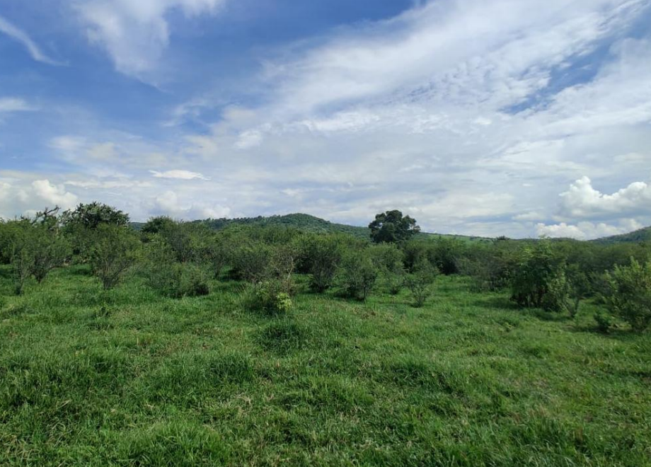 Terreno en Venta_El Volantín